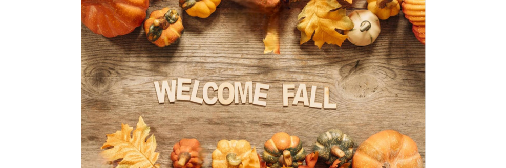 WelcomeBanner